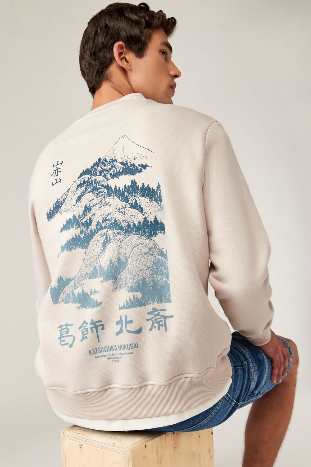 Толстовка Хокусай с графикой Next, бежевый 
Толстовка Хокусай с графикой Next, бежевый