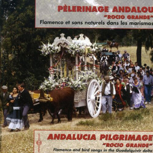 CD диск Grande, Rocio / Various: Rocio Grande
CD диск Grande, Rocio / Various: Rocio Grande