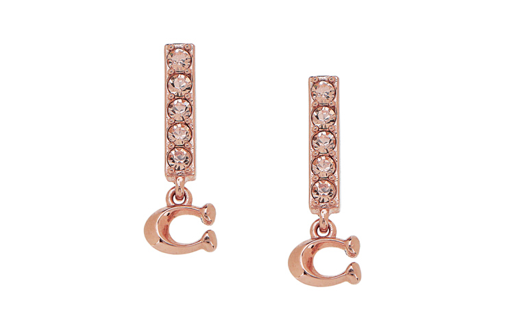 Золотые серьги-гвоздики для женщин Metal Stud COACH
Золотые серьги-гвоздики для женщин Metal Stud COACH