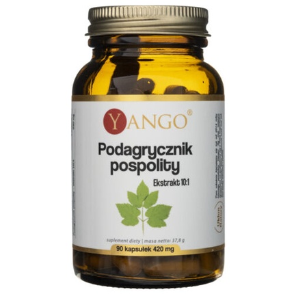 Гамамелис 420 мг 90 капсул Yango
Гамамелис 420 мг 90 капсул Yango