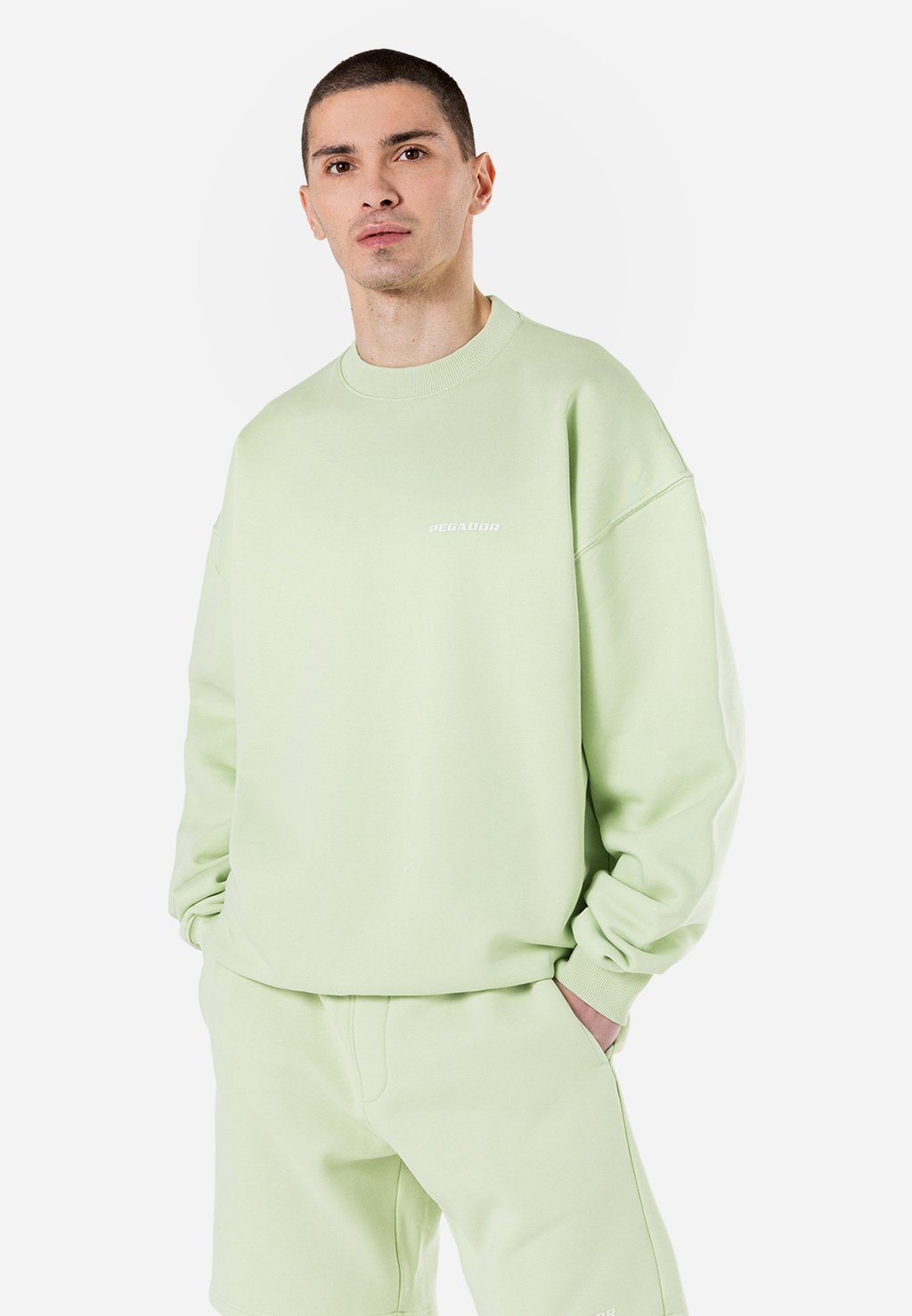 Толстовка LOGO Pegador, светло-зеленый
Толстовка LOGO Pegador, светло-зеленый