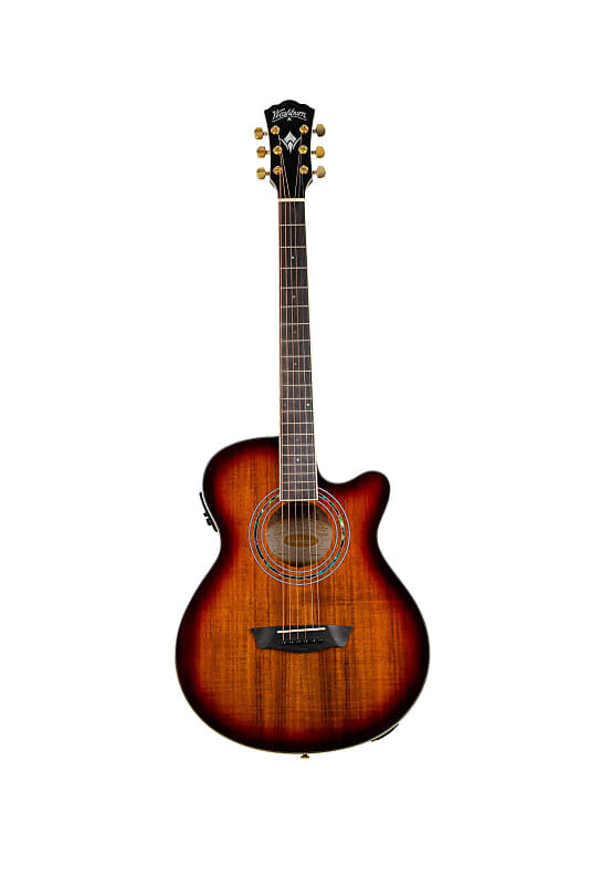 Акустическая гитара Washburn EA55G Festival Series Single Cutaway Koa Top Wood Mahogany Neck 6-String Acoustic-Electric Guitar
Акустическая гитара Washburn EA55G Festival Series Single Cutaway Koa Top Wood Mahogany Neck 6-String Acoustic-Electric Guitar