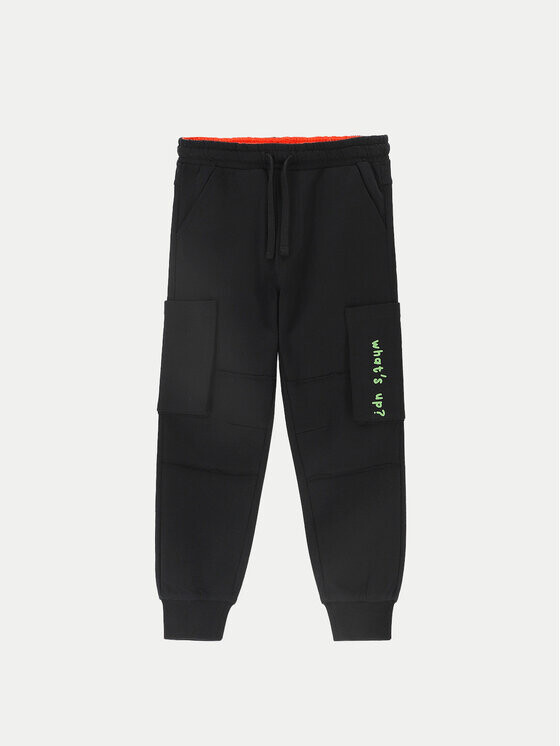 Спортивные брюки стандартного кроя Coccodrillo, черный
Спортивные брюки стандартного кроя Coccodrillo, черный