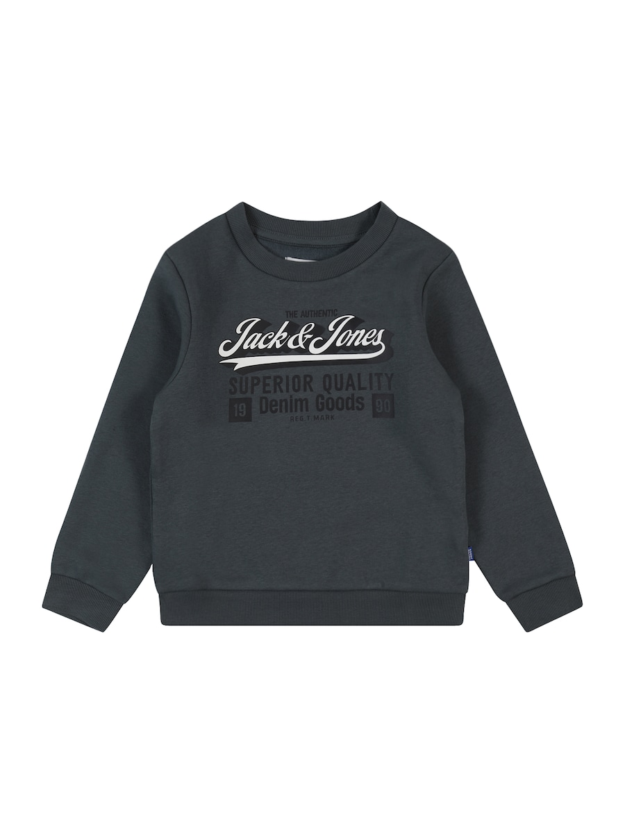Толстовка JACK & JONES MINI, темно-серый
Толстовка JACK & JONES MINI, темно-серый