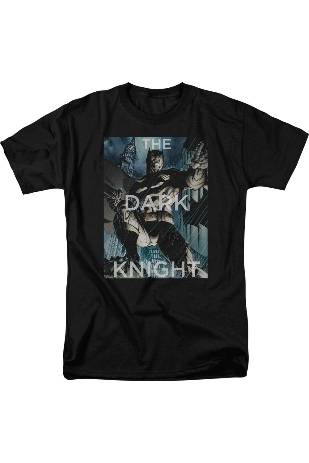 Футболка с коротким рукавом для взрослых «Бэтмен, сражающийся со штормом» Gildan, черный
Футболка с коротким рукавом для взрослых «Бэтмен, сражающийся со штормом» Gildan, черный