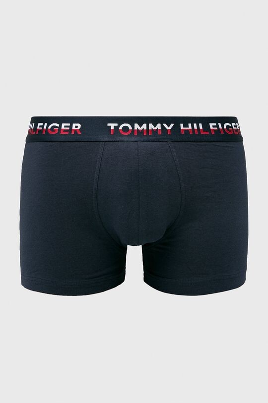 Боксеры (2 пары) UM0UM00746 Tommy Hilfiger, темно-синий
Боксеры (2 пары) UM0UM00746 Tommy Hilfiger, темно-синий