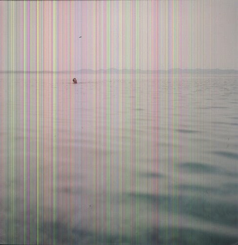 Виниловая пластинка Blue Cranes - Swim
Виниловая пластинка Blue Cranes - Swim