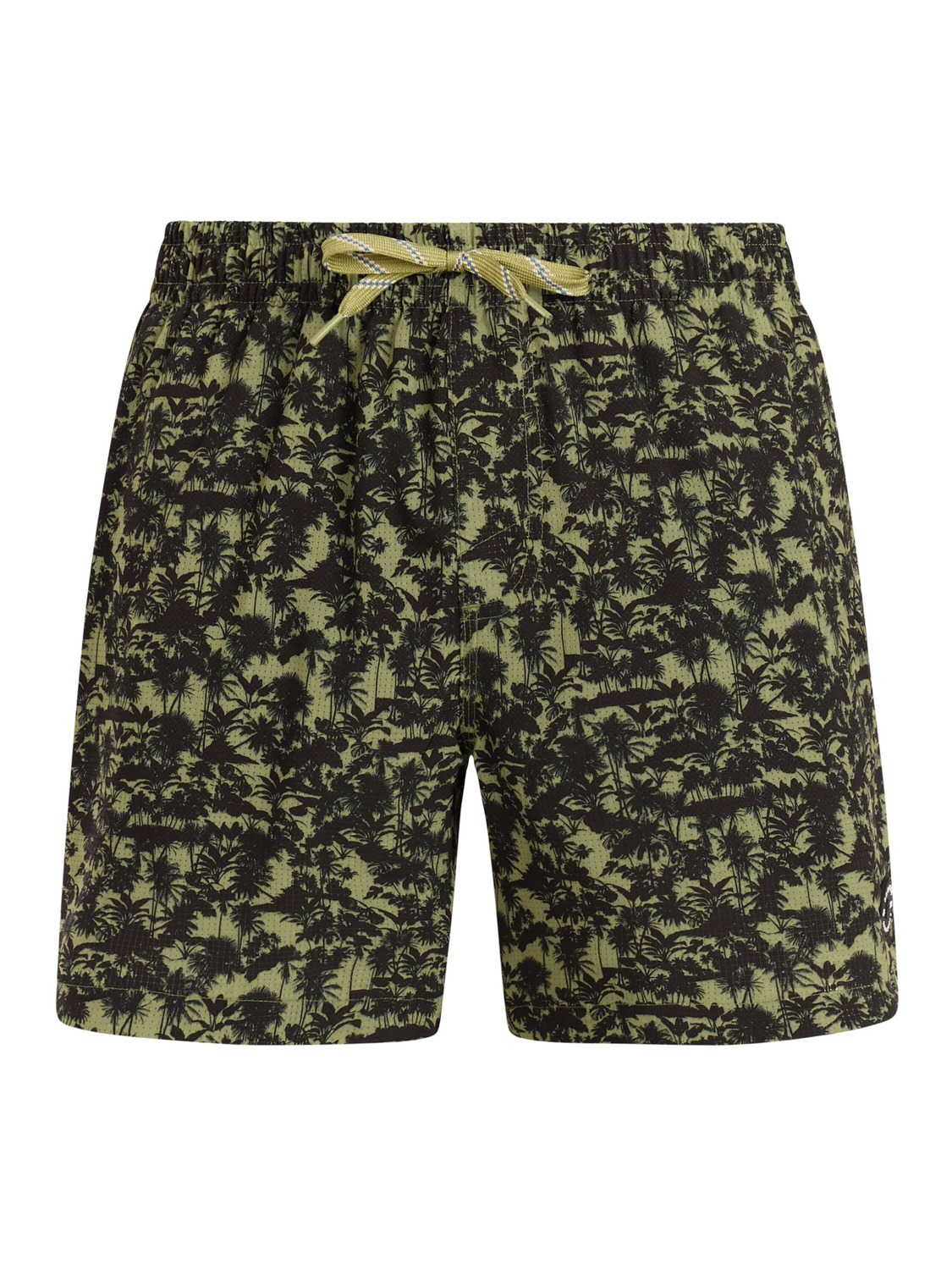 PROTEST Шорты для серфинга 'PRTOwston' в зеленом цвете
PROTEST Шорты для серфинга 'PRTOwston' в зеленом цвете