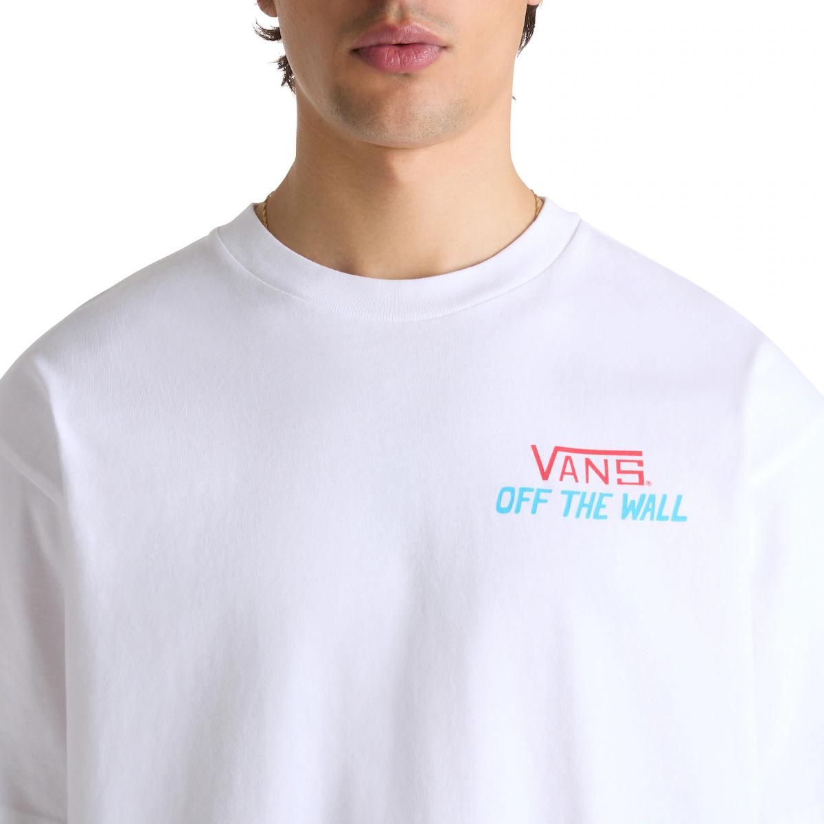 Футболка мужская A Good Pair loose Vans, белый
Футболка мужская A Good Pair loose Vans, белый