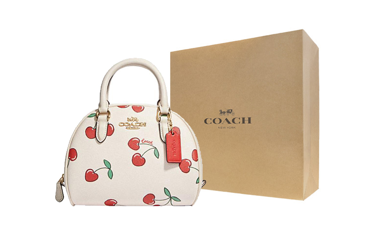 Coach Сумка через плечо Sydney из канваса с покрытием и кожаной отделкой, маленькая женская, белая
Coach Сумка через плечо Sydney из канваса с покрытием и кожаной отделкой, маленькая женская, белая