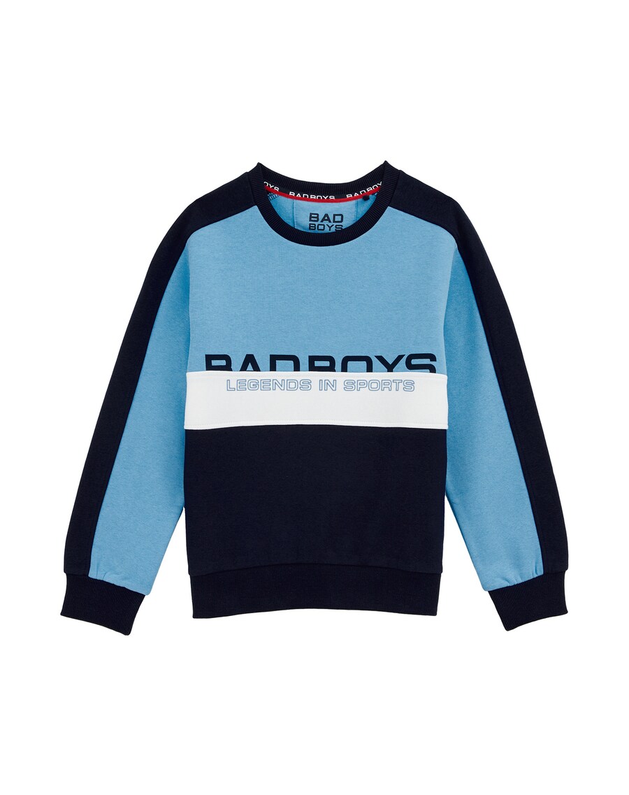 Толстовка WE Fashion, темно-синий/светло-синий 
Толстовка WE Fashion, темно-синий/светло-синий