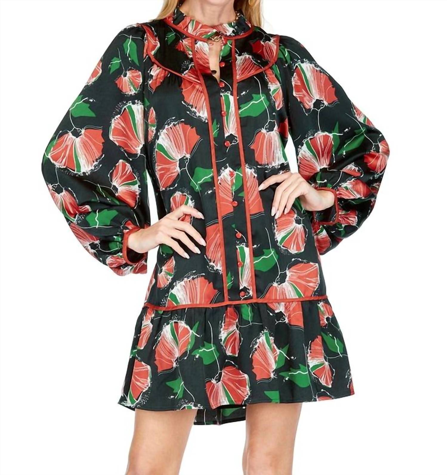 Платье Poppy Moons в красно-зеленом цвете Joy Joy
Платье Poppy Moons в красно-зеленом цвете Joy Joy