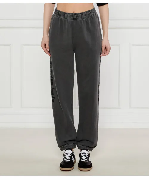 Спортивные штаны Regular fit Pinko, серый
Спортивные штаны Regular fit Pinko, серый