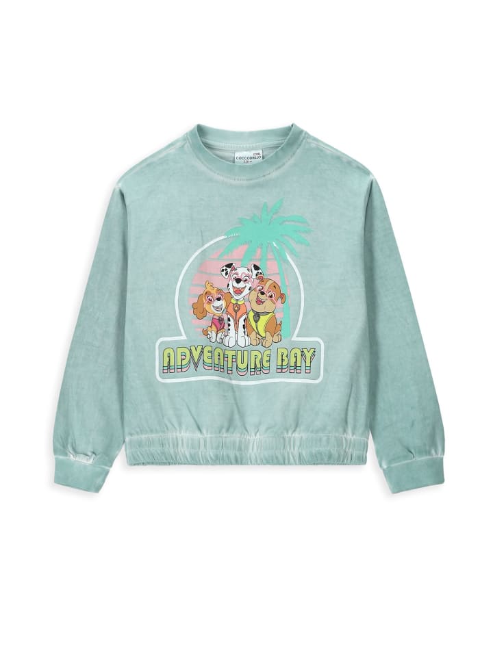 Толстовка Coccodrillo, зеленый
Толстовка Coccodrillo, зеленый