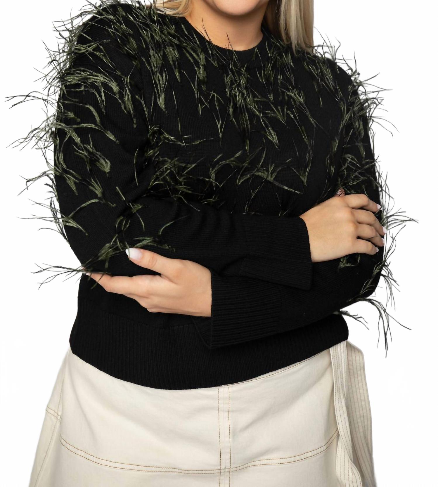 Свитер Lexia Feather - размер плюс, черный Tanya Taylor
Свитер Lexia Feather - размер плюс, черный Tanya Taylor