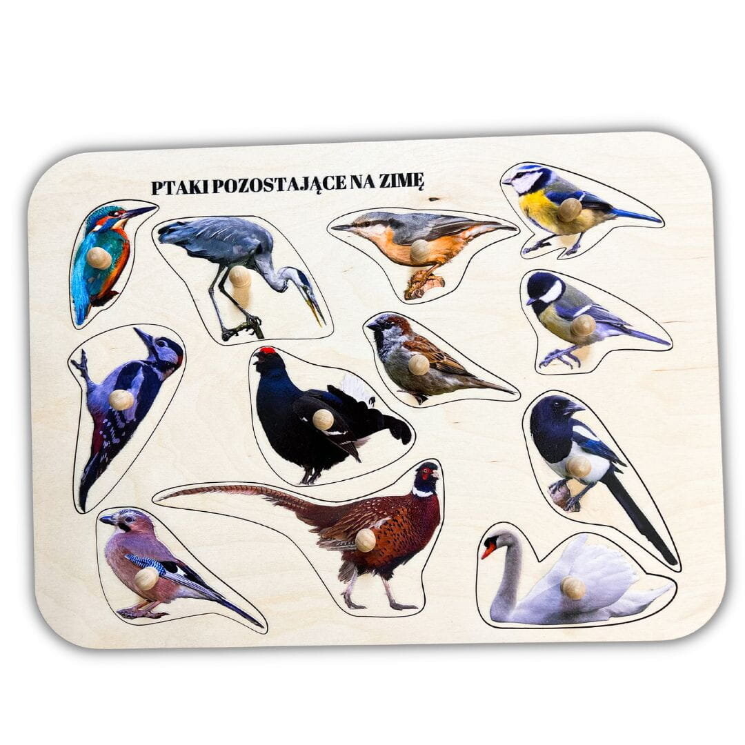 Остающиеся на зиму птицы, деревянные пазлы с ручками и подписями, первые пазлы Inna marka
Остающиеся на зиму птицы, деревянные пазлы с ручками и подписями, первые пазлы Inna marka