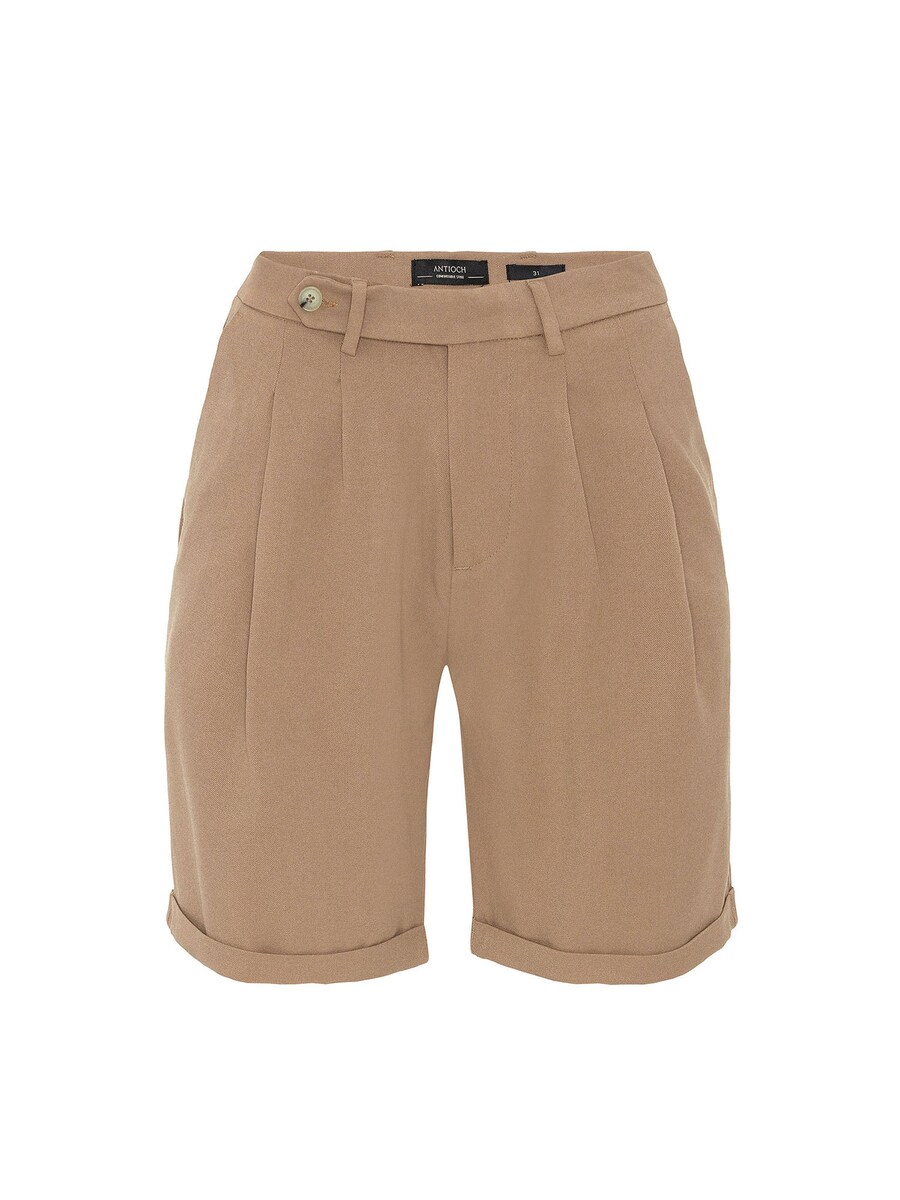 Обычные плиссированные брюки Antioch, коричневый
Обычные плиссированные брюки Antioch, коричневый