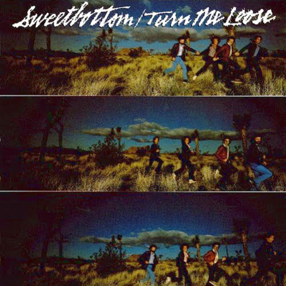 Диск CD Turn Me Loose - Sweetbottom
Диск CD Turn Me Loose - Sweetbottom