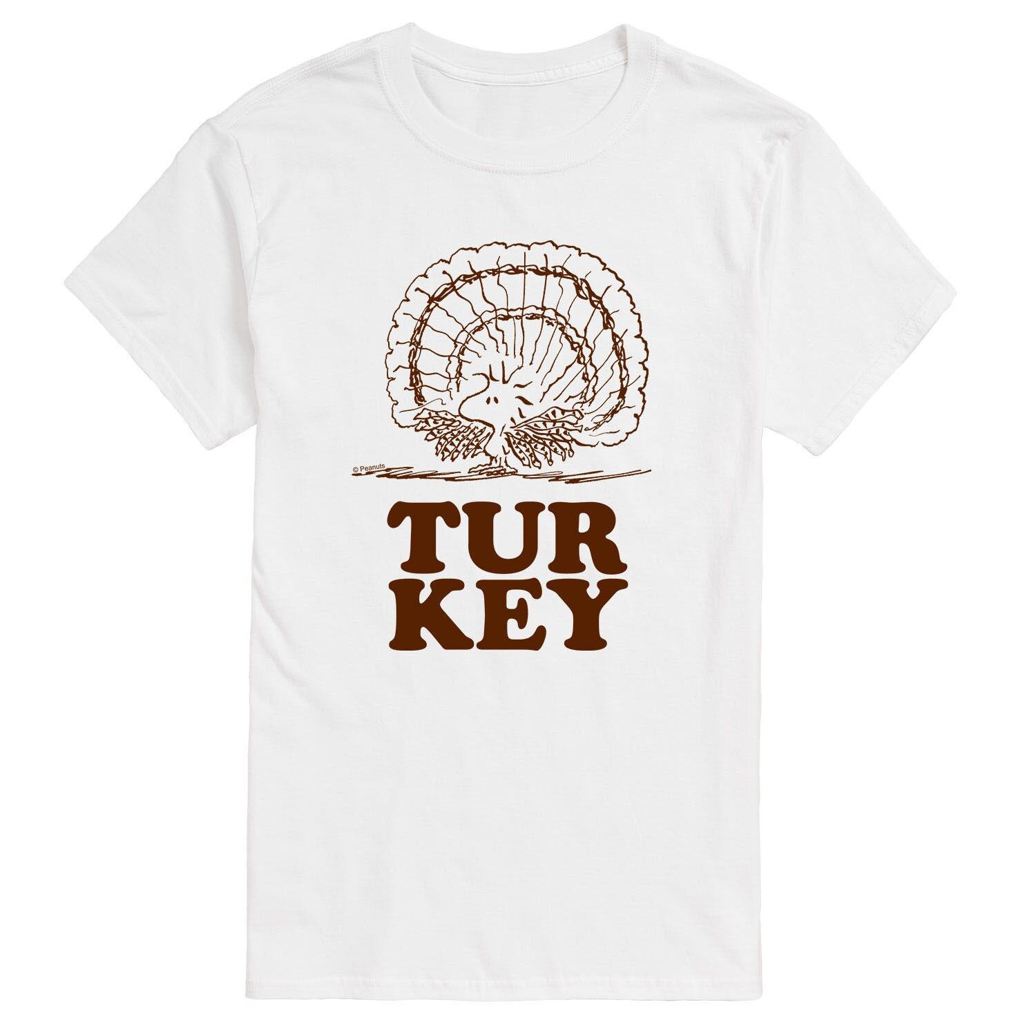 Мужская футболка Woodstock Turkey с арахисом Licensed Character
Мужская футболка Woodstock Turkey с арахисом Licensed Character