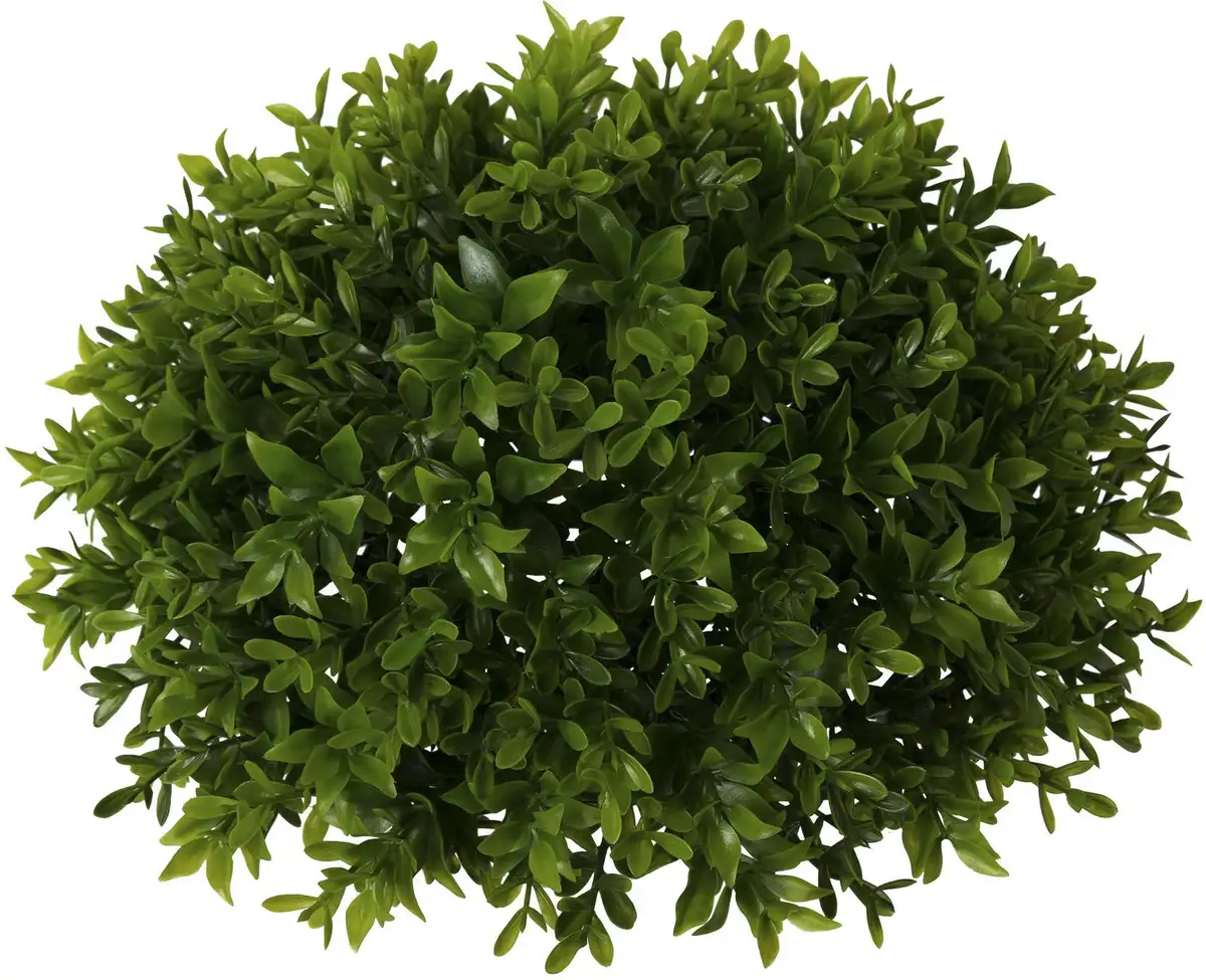 Креатив зеленое искусственное растение "самшит полусфера" Creativ green Ø/25х14 см, зеленый
Креатив зеленое искусственное растение "самшит полусфера" Creativ green Ø/25х14 см, зеленый