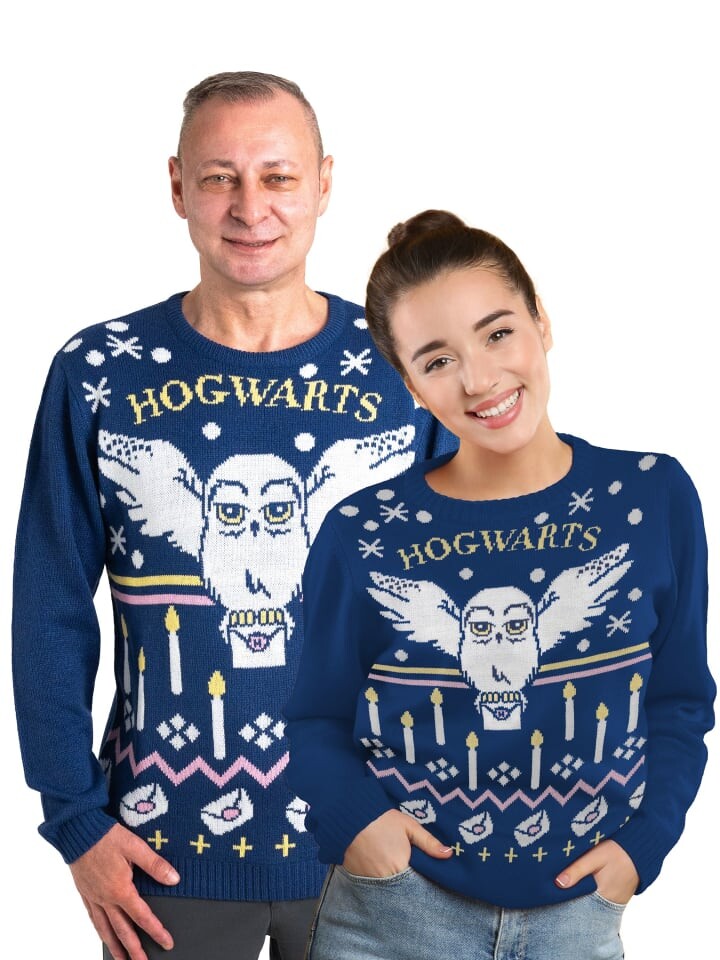 Пуловер United Labels Harry Potter Winterpullover Hedwig Eule Winter Pullover Ugly Sweater, синий
Пуловер United Labels Harry Potter Winterpullover Hedwig Eule Winter Pullover Ugly Sweater, синий