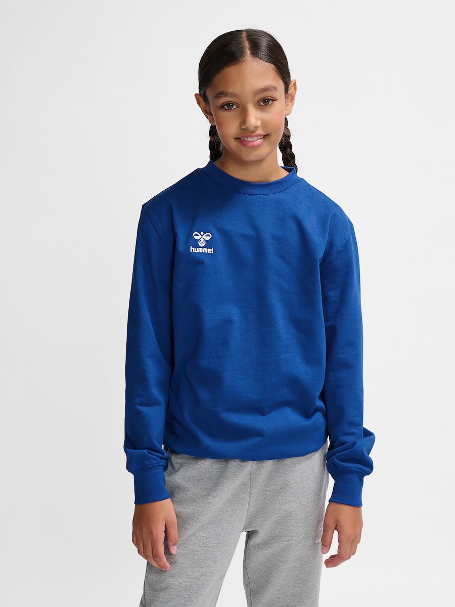 Спортивная толстовка Hummel GO 2.0, Cobalt Blue
Спортивная толстовка Hummel GO 2.0, Cobalt Blue