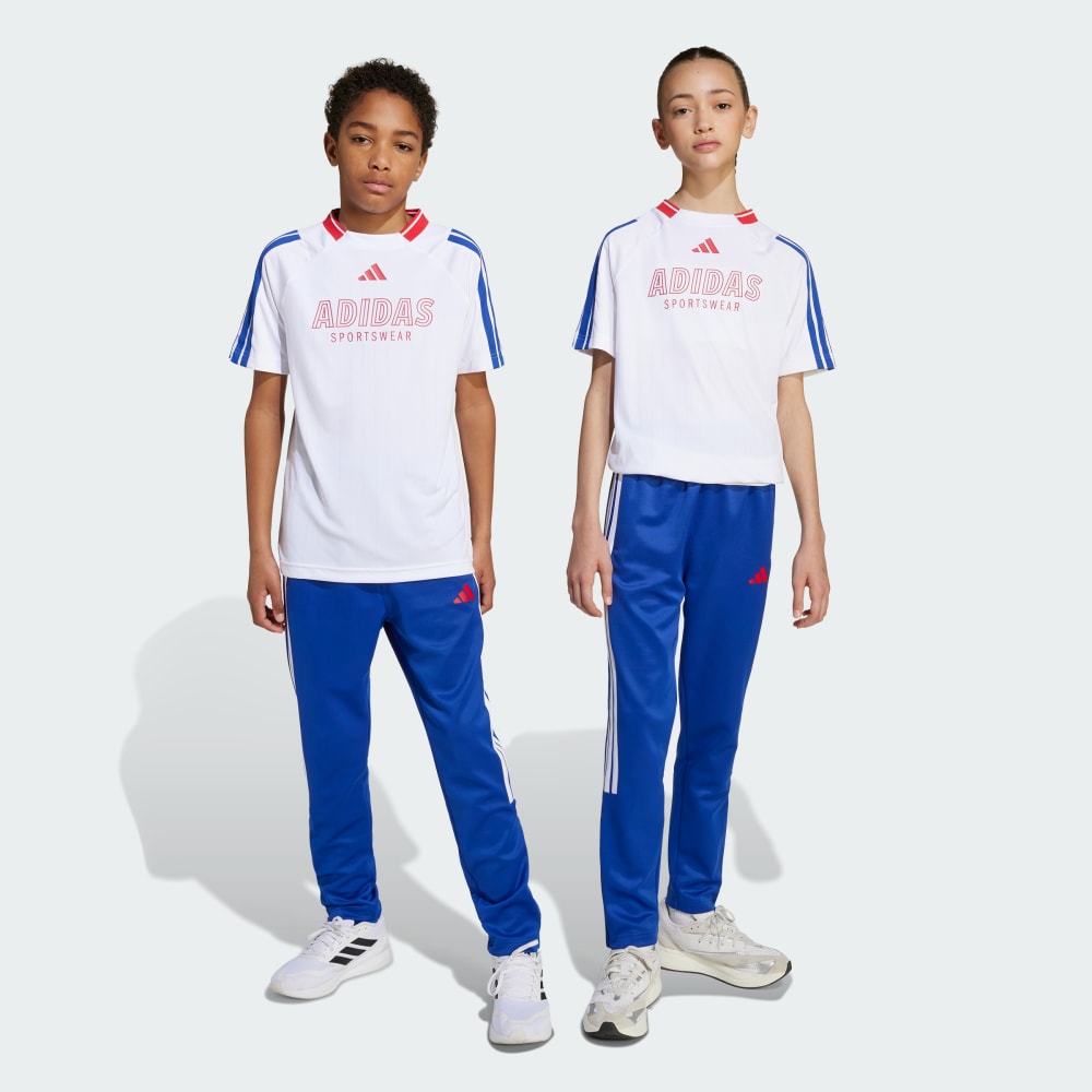 Спортивные брюки Adidas House of Tiro Pants, цвет Semi Lucid Blue/Pure Ruby/White
Спортивные брюки Adidas House of Tiro Pants, цвет Semi Lucid Blue/Pure Ruby/White