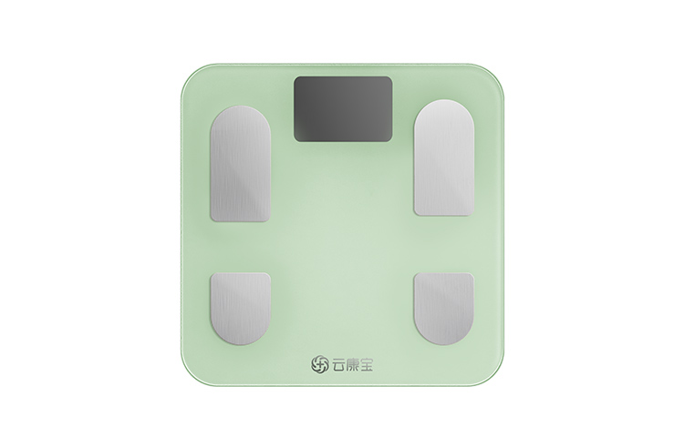 Весы для измерения процента жира в организме Yolanda, светло-зеленый
Весы для измерения процента жира в организме Yolanda, светло-зеленый