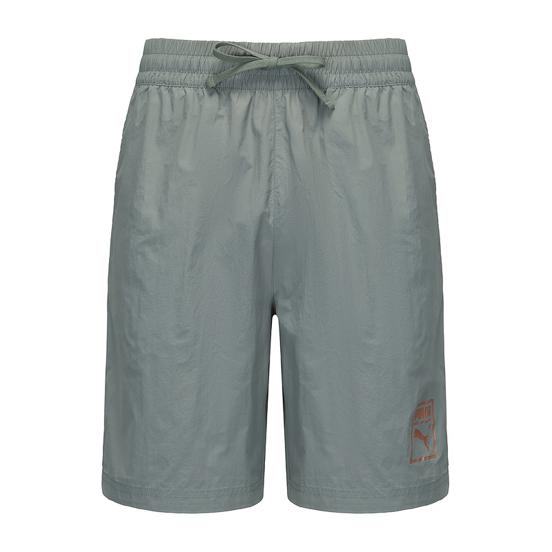 PUMA Мужские шорты Casual Green
PUMA Мужские шорты Casual Green