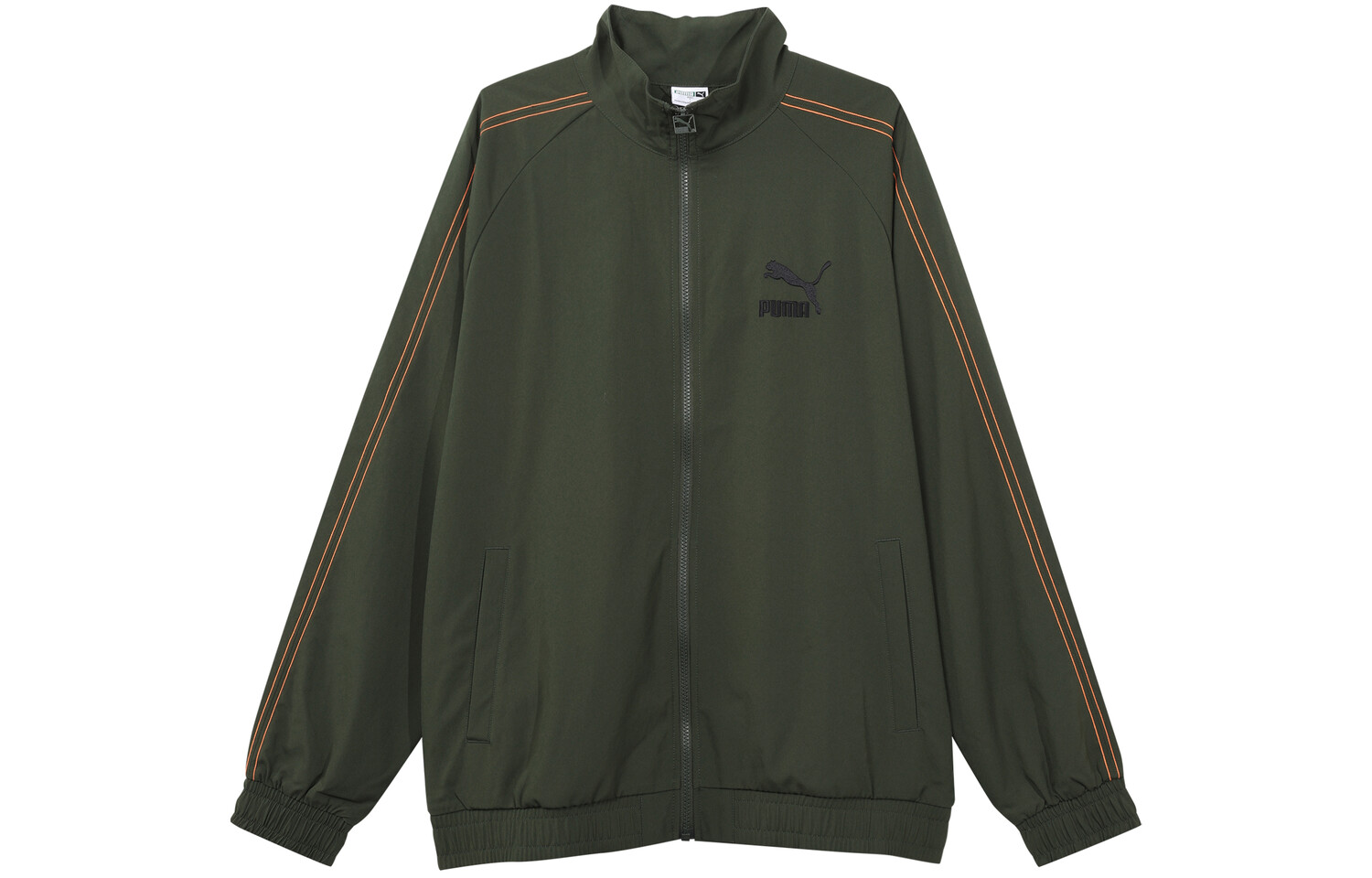 Куртка мужская зеленая Puma, зеленый
Куртка мужская зеленая Puma, зеленый