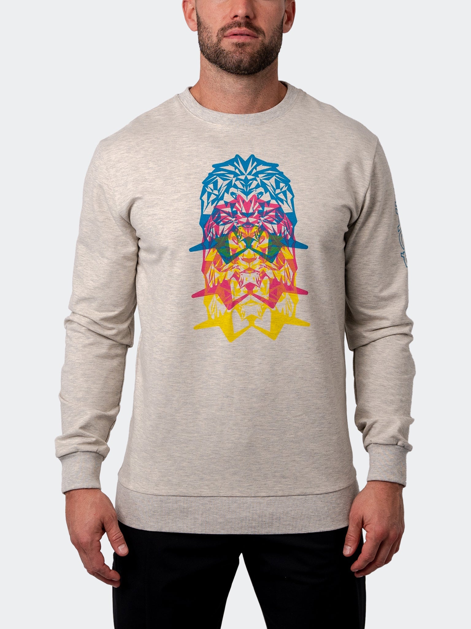 Свитер MirageLion Серый MACEOO
Свитер MirageLion Серый MACEOO