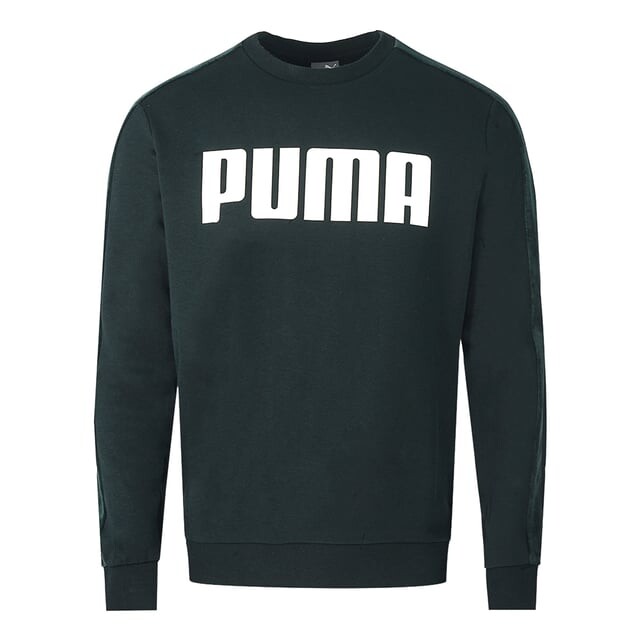 Бархатная толстовка с логотипом Puma, черный
Бархатная толстовка с логотипом Puma, черный