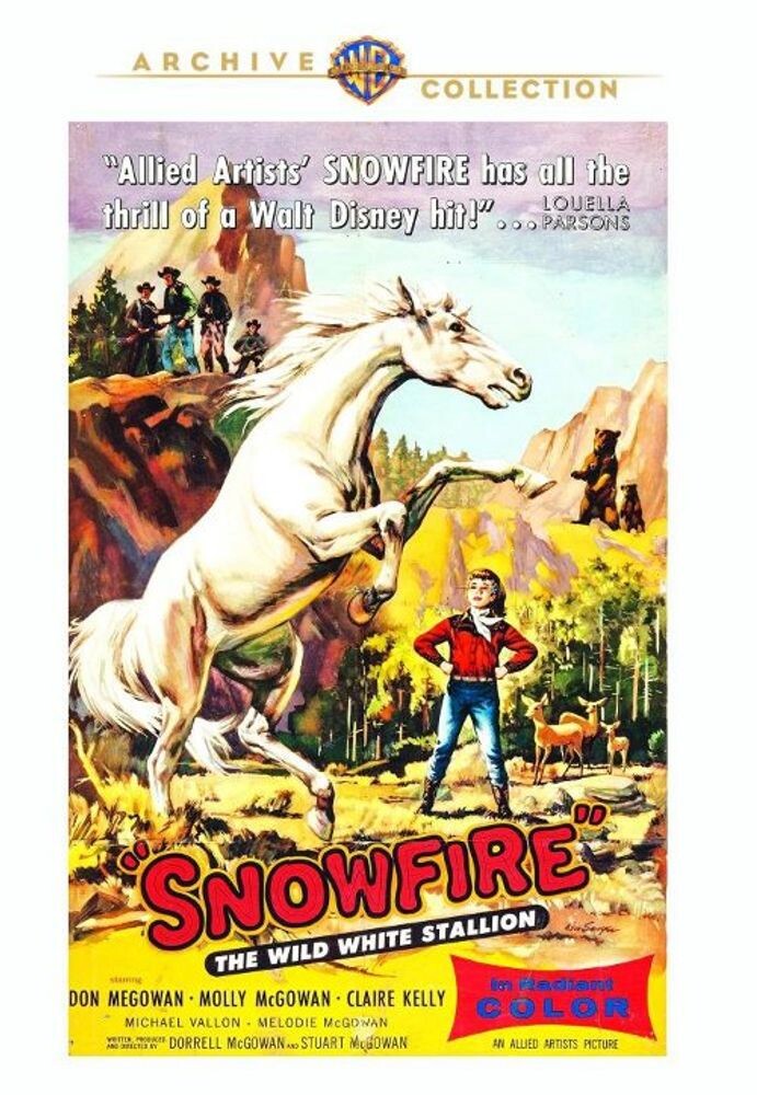 Диск DVD Snowfire
Диск DVD Snowfire