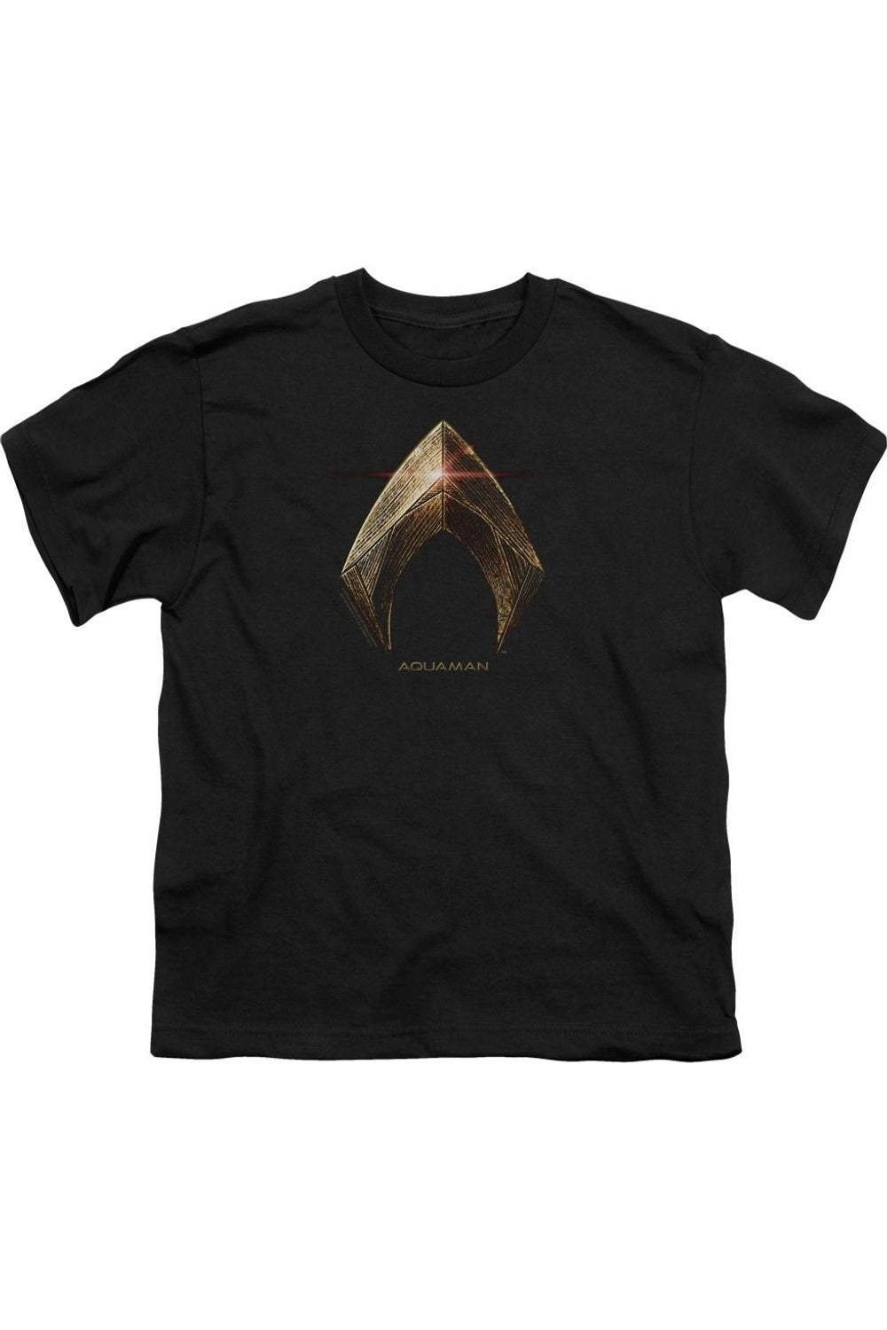 Футболка с коротким рукавом для подростков с логотипом Аквамена из фильма "Лига справедливости" Gildan, черный
Футболка с коротким рукавом для подростков с логотипом Аквамена из фильма "Лига справедливости" Gildan, черный