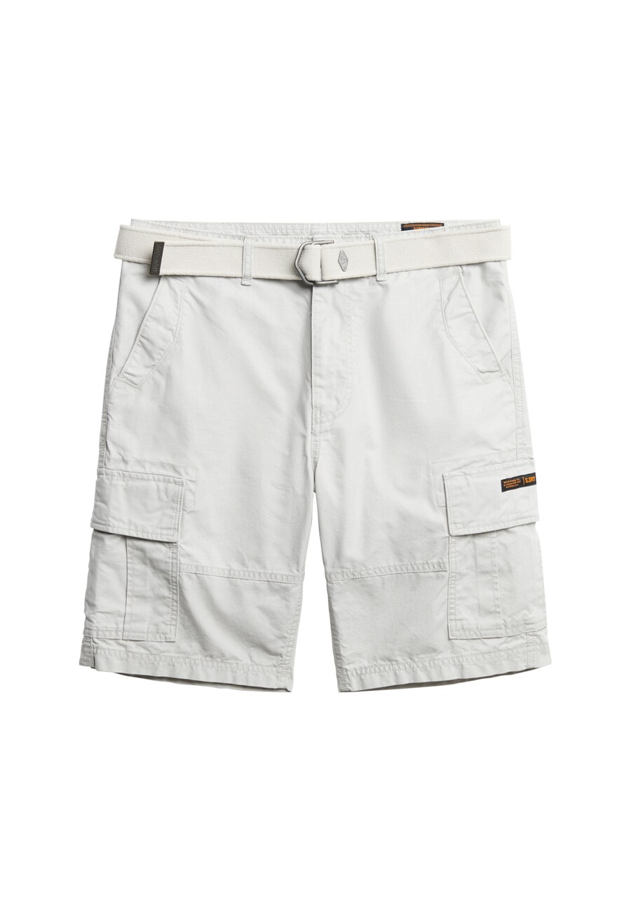 Обычные брюки-карго Superdry, светло-серый
Обычные брюки-карго Superdry, светло-серый