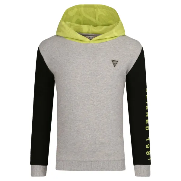 Толстовка обычного кроя Guess, серый
Толстовка обычного кроя Guess, серый