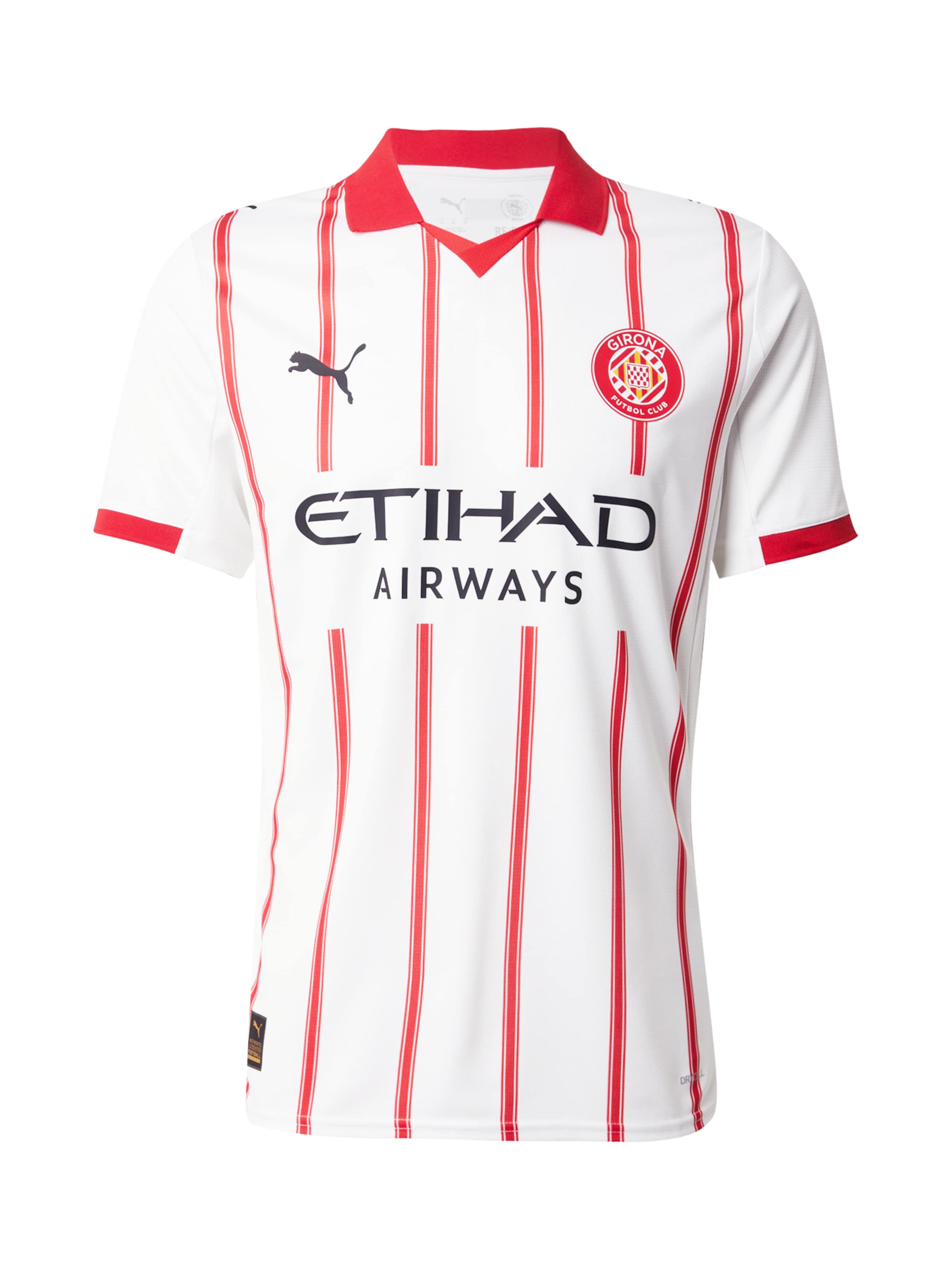 PUMA Джерси 'GFC Home' в белом цвете
PUMA Джерси 'GFC Home' в белом цвете