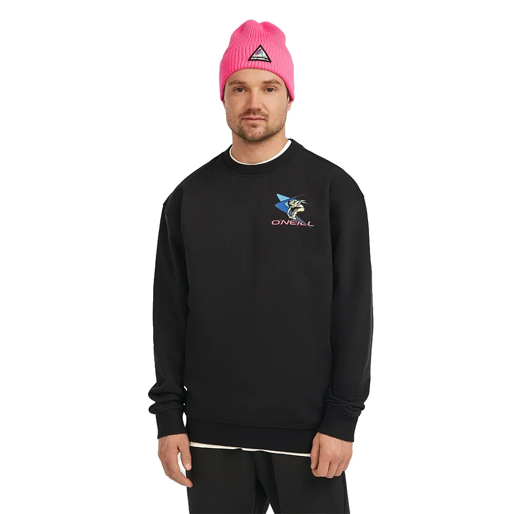 Толстовка O´neill FWC Play, черный
Толстовка O´neill FWC Play, черный