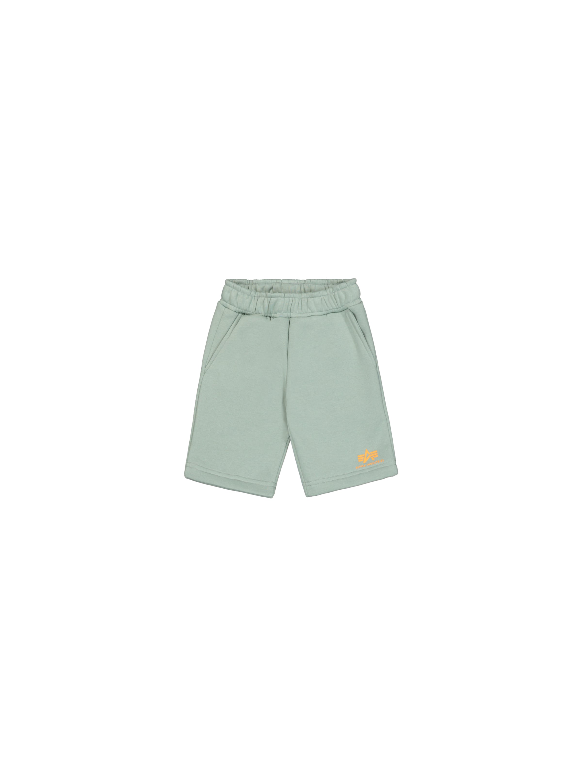 ALPHA INDUSTRIES Обычные брюки в пастельно-зеленом цвете
ALPHA INDUSTRIES Обычные брюки в пастельно-зеленом цвете