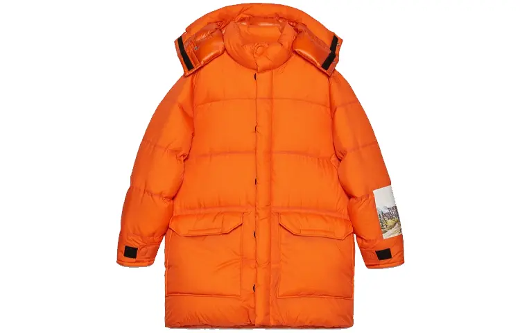 Куртка мужская North Face X Down, оранжевая Gucci, оранжевый
Куртка мужская North Face X Down, оранжевая Gucci, оранжевый