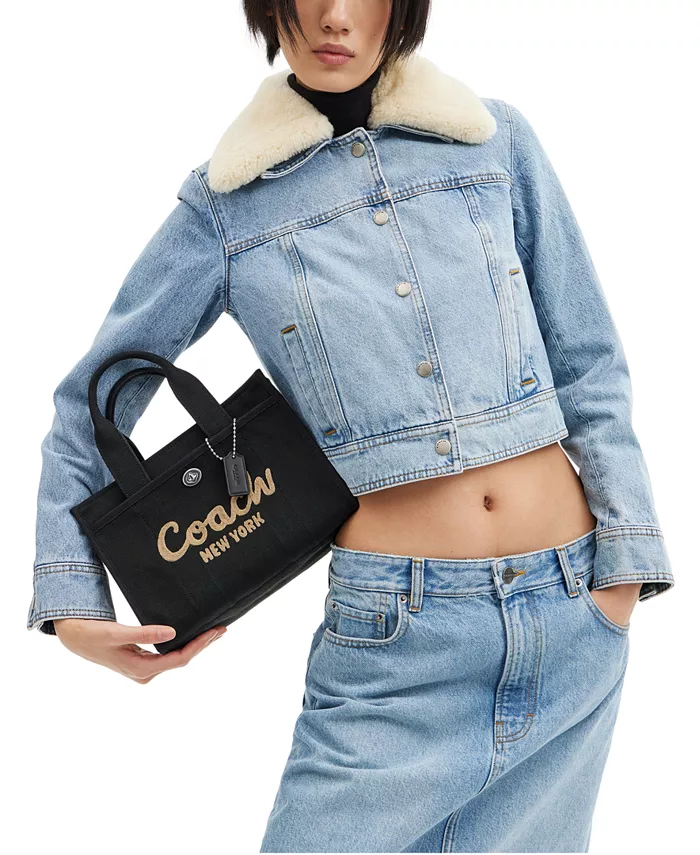 Маленькая холщовая сумка Cargo 26 COACH, мультиколор
Маленькая холщовая сумка Cargo 26 COACH, мультиколор