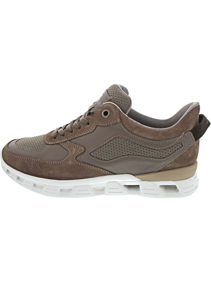 Sioux Спортивные кроссовки Noxolan на шнуровке, коричневые
Sioux Спортивные кроссовки Noxolan на шнуровке, коричневые