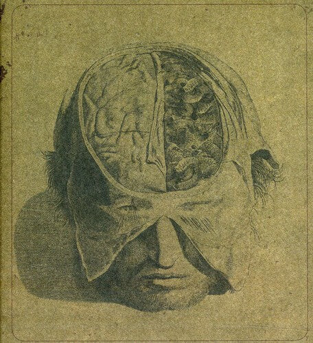 CD диск Farsot: Insects
CD диск Farsot: Insects