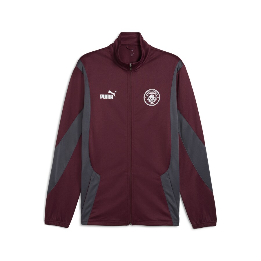 Спортивная куртка PUMA Manchester City ftblNRGY, цвет Wine red
Спортивная куртка PUMA Manchester City ftblNRGY, цвет Wine red