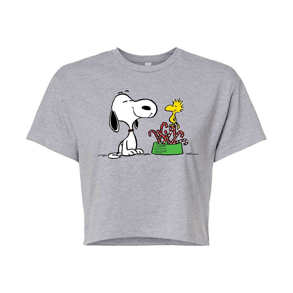 Укороченная футболка для юниоров Peanuts Snoopy & Woodstock Candy Canes Licensed Character, цвет Heather Gray
Укороченная футболка для юниоров Peanuts Snoopy & Woodstock Candy Canes Licensed Character, цвет Heather Gray