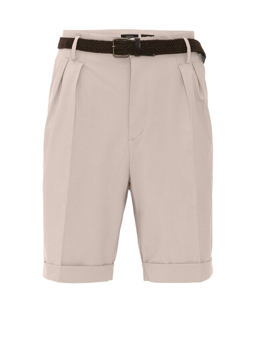 Плиссированные брюки Antioch, бежевый
Плиссированные брюки Antioch, бежевый