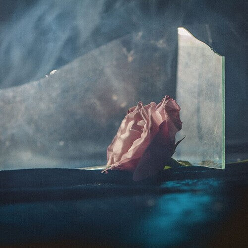 Виниловая пластинка Ranaldo, Lee: In Virus Times
Виниловая пластинка Ranaldo, Lee: In Virus Times