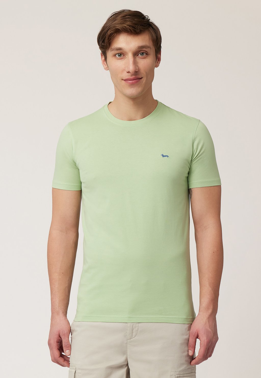 Базовая футболка NARROW FIT Harmont & Blaine, светло-зеленый
Базовая футболка NARROW FIT Harmont & Blaine, светло-зеленый