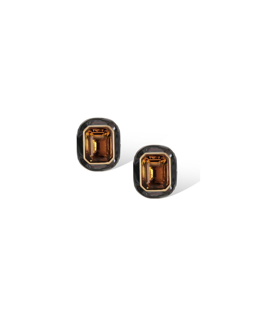 Серьги-гвоздики Римская ночь RETRO CHIC, Brown & black
Серьги-гвоздики Римская ночь RETRO CHIC, Brown & black