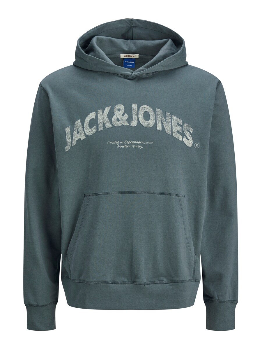 Толстовка Jack & Jones Plus JORAlmeria, пастельный зеленый 
Толстовка Jack & Jones Plus JORAlmeria, пастельный зеленый
